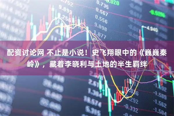 配资讨论网 不止是小说！史飞翔眼中的《巍巍秦岭》，藏着李晓利与土地的半生羁绊