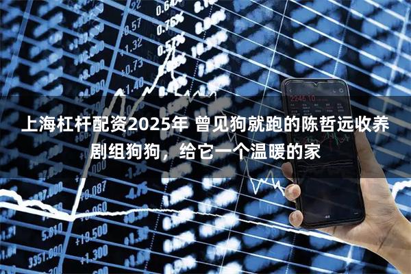 上海杠杆配资2025年 曾见狗就跑的陈哲远收养剧组狗狗，给它一个温暖的家